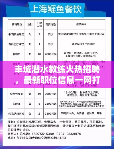 丰城潜水教练火热招聘，最新职位信息一网打尽！
