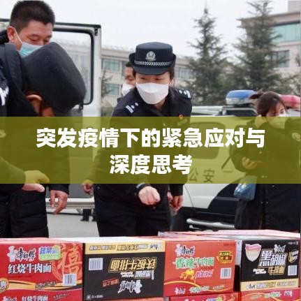 突发疫情下的紧急应对与深度思考