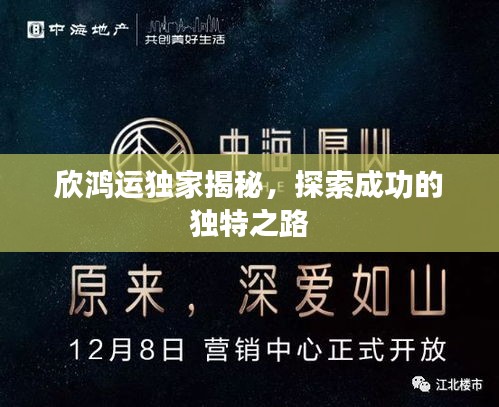 欣鸿运独家揭秘，探索成功的独特之路