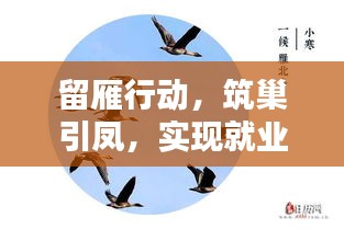 留雁行动，筑巢引凤，实现就业留才，共创辉煌