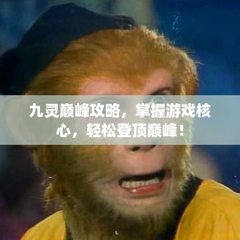 九灵巅峰攻略，掌握游戏核心，轻松登顶巅峰！