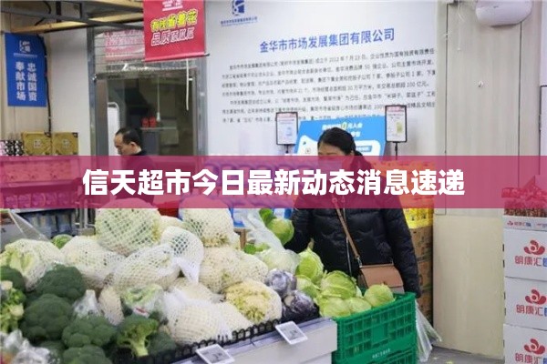 信天超市今日最新动态消息速递