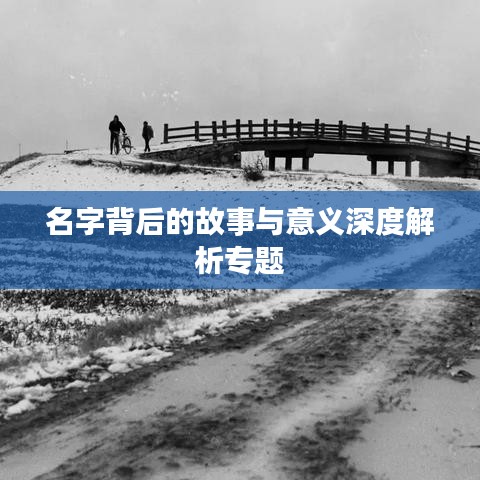 名字背后的故事与意义深度解析专题