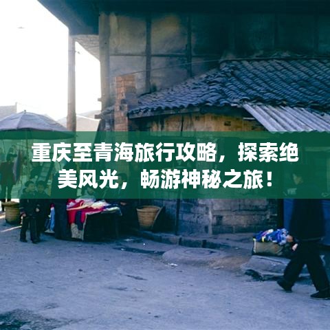 重庆至青海旅行攻略，探索绝美风光，畅游神秘之旅！
