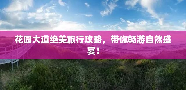 花园大道绝美旅行攻略，带你畅游自然盛宴！