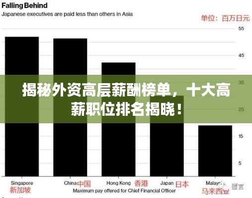 揭秘外资高层薪酬榜单，十大高薪职位排名揭晓！