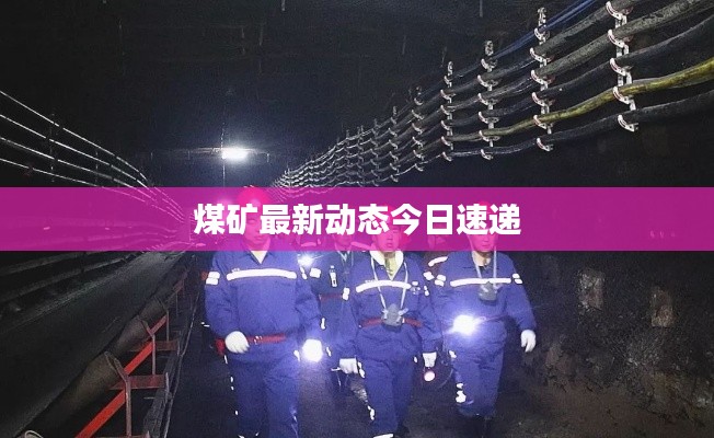 煤矿最新动态今日速递