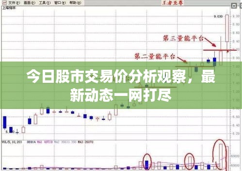 今日股市交易价分析观察，最新动态一网打尽