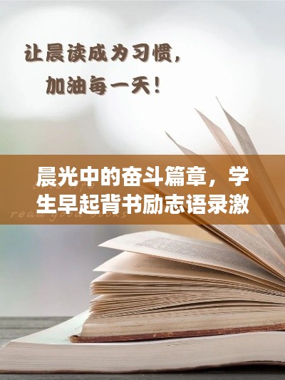 2025年5月 第17页