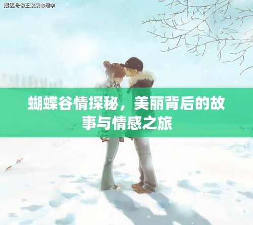 蝴蝶谷情探秘，美丽背后的故事与情感之旅