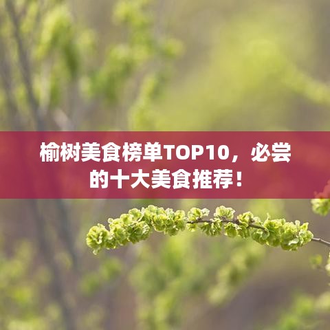 榆树美食榜单TOP10，必尝的十大美食推荐！