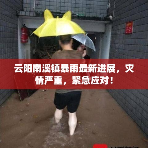 云阳南溪镇暴雨最新进展，灾情严重，紧急应对！