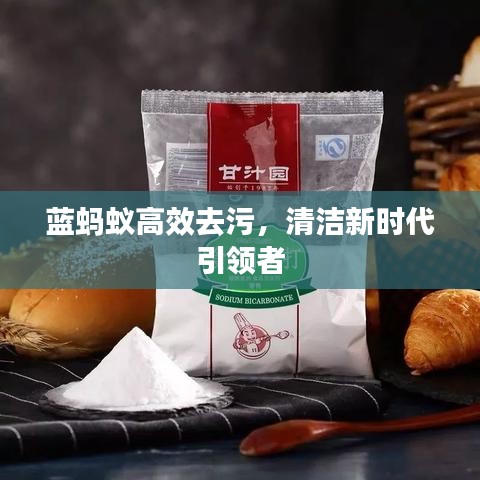 蓝蚂蚁高效去污，清洁新时代引领者