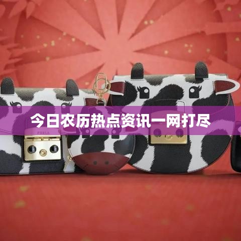 今日农历热点资讯一网打尽
