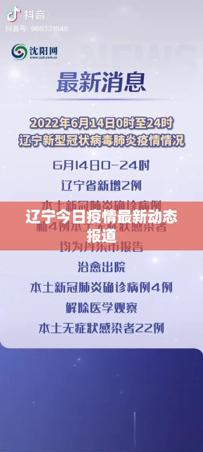 辽宁今日疫情最新动态报道
