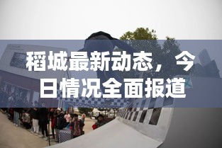 稻城最新动态，今日情况全面报道