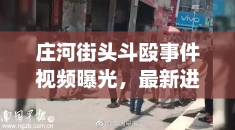 庄河街头斗殴事件视频曝光，最新进展全面报道