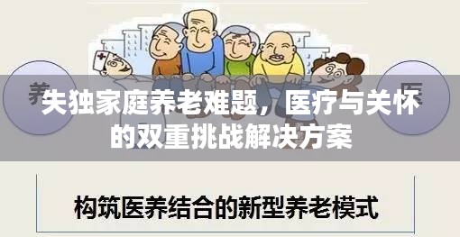失独家庭养老难题，医疗与关怀的双重挑战解决方案