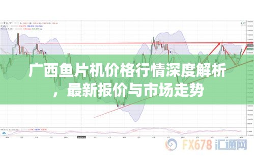 广西鱼片机价格行情深度解析，最新报价与市场走势