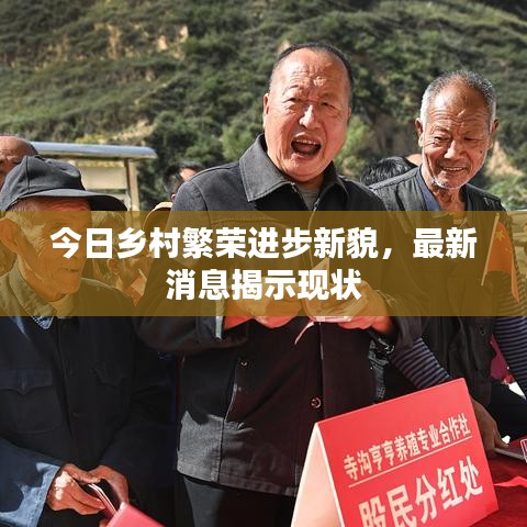 今日乡村繁荣进步新貌，最新消息揭示现状