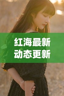 红海最新动态更新，今日迎来全新变化