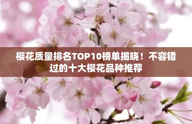 投诉说明 第15页