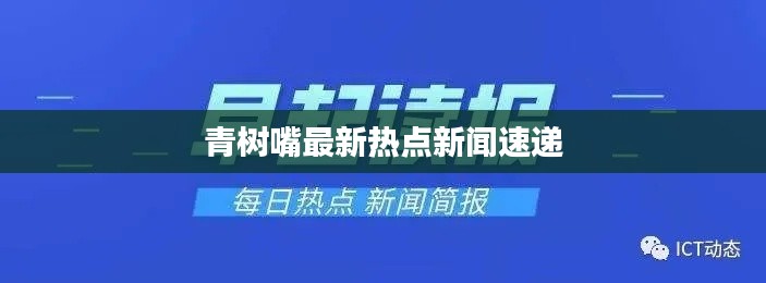 青树嘴最新热点新闻速递