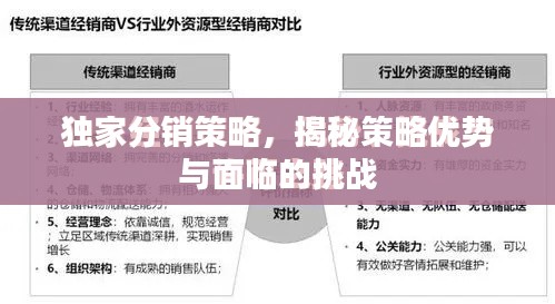 独家分销策略，揭秘策略优势与面临的挑战