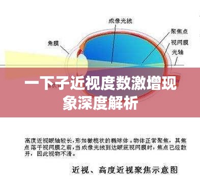 2025年6月6日 第5页