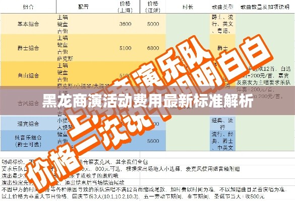 黑龙商演活动费用最新标准解析