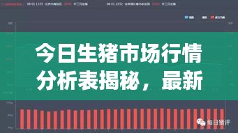 2025年6月7日 第5页