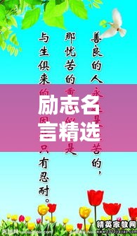 帮助中心 第10页