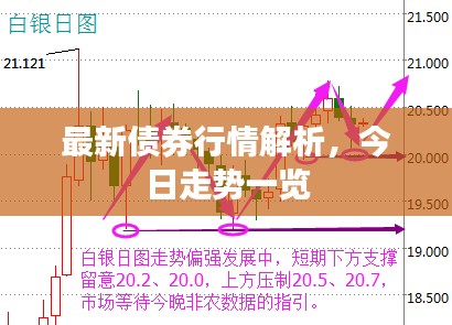 最新债券行情解析，今日走势一览