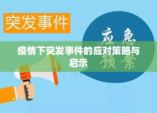 疫情下突发事件的应对策略与启示