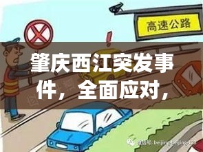 肇庆西江突发事件，全面应对，公众安全至上保障行动