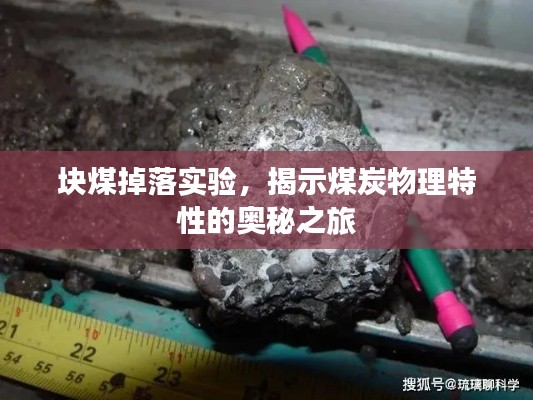 支付方式 第10页