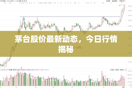 茅台股价最新动态，今日行情揭秘