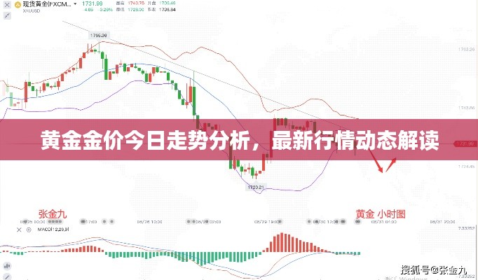 黄金金价今日走势分析，最新行情动态解读