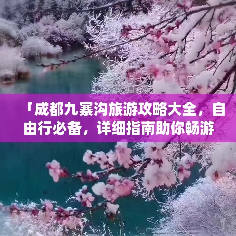 「成都九寨沟旅游攻略大全，自由行必备，详细指南助你畅游仙境」
