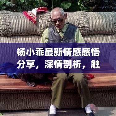 杨小乖最新情感感悟分享，深情剖析，触动心灵深处