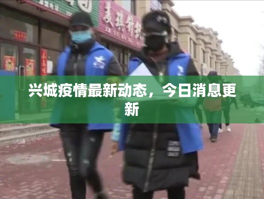 兴城疫情最新动态，今日消息更新