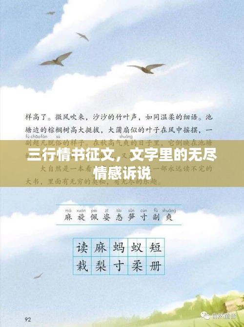 关于订购 第8页
