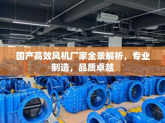 国产高效风机厂家全景解析，专业制造，品质卓越