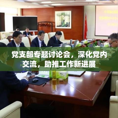 党支部专题讨论会，深化党内交流，助推工作新进展