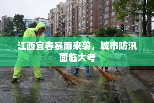 鲜花用途 第7页