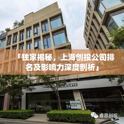 「独家揭秘，上海创投公司排名及影响力深度剖析」