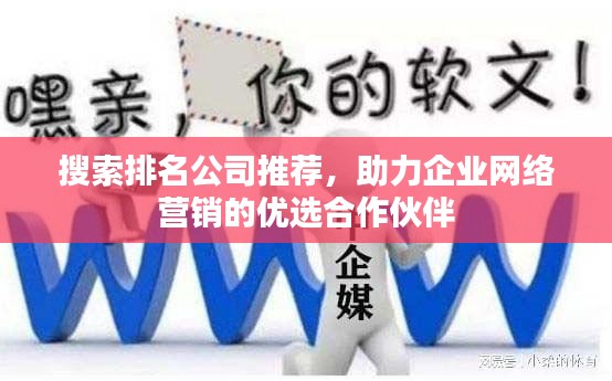 搜索排名公司推荐，助力企业网络营销的优选合作伙伴