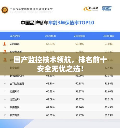 国产监控技术领航，排名前十安全无忧之选！