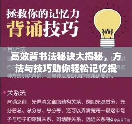 高效背书法秘诀大揭秘，方法与技巧助你轻松记忆提升！