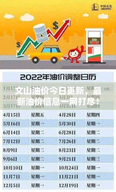 文山油价今日更新，最新油价信息一网打尽！